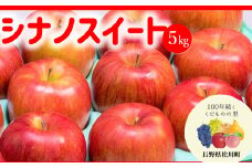 AS03-25A りんご シナノスイート（松川町産）秀品 約5kg ／2025年10月上旬～中旬頃 配送予定 // 長野県 南信州 松川町 贈答 りんご リンゴ 林檎 シナノスイート