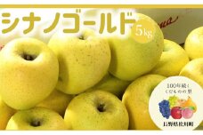 AS08-25A りんご シナノゴールド（松川町産）秀品 約5kg ／2025年10月下旬頃 配送予定 // 長野県 南信州 松川町 りんご リンゴ 林檎 シナノゴールド 贈答 黄色りんご 産地直送