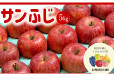 AS09-25A りんご サンふじ（松川町産）秀品 約5kg ／2025年11月中旬頃～12月上旬頃 配送予定 // 長野県 南信州 松川町 ギフト りんご リンゴ 林檎 サンふじ サンフジ 贈答