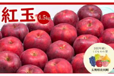 AS05-25A りんご 紅玉（松川町産）秀品 約4.5kg ／2025年10月上旬～下旬頃 配送予定 // 長野県 南信州 松川町 りんご リンゴ 林檎 紅玉 贈答