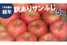 AS12-25A りんご サンふじ 越年自家用（松川町産）約5kg ／2026年1月中旬～2月中旬頃 配送予定 // 長野県 南信州 さんふじ サンフジ ふじりんご 訳あり 訳アリ 家庭用 自家用 年明け配送
