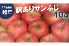 AS13-25A りんご サンふじ  越年自家用（松川町産） 約10kg ／2026年1月中旬～2月中旬頃 配送予定 // 長野県 南信州 さんふじ サンフジ ふじりんご 訳あり 訳アリ 家庭用 自家用 年明け配送