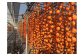 柿すだれ（毎年10月下旬～11月中旬には、このような光景が広範囲に亘って見られます。）