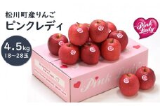 PL02-24A ピンクレディー®希少なりんご 約4.5kg／2025年1月中旬から発送//長野県 南信州 松川町 りんご 希少品種 珍しい ライセンス リンゴ プレゼント 贈り物  ピンクレディー 恋人 