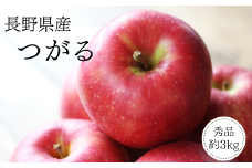 MS04-25A りんご つがる（長野県産秀品） 約3kg / 2025年9月上旬～9月中旬頃 配送予定 // 南信州産 長野県 早生りんご りんご リンゴ 林檎 つがる 贈答 果物 フルーツ