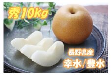 MS03-25A 梨 幸水か豊水（長野県産秀品） 約10kg ／2025年8月下旬～9月中旬頃 配送予定 // 長野県 南信州 梨 なし ナシ 幸水 豊水 贈答 こうすい ほうすい