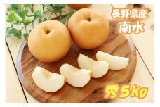 MS07-25A 梨 南水（長野県産秀品） 約5kg / 2025年9月中旬～10月中旬頃 配送予定 // 南信州産 長野県 和梨 なし ナシ 南水 なんすい 赤梨