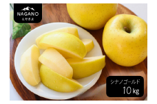 MS13-25A りんご シナノゴールド（長野県産秀品） 約10kg / 2025年10月下旬～11月下旬頃 配送予定 // 長野県 南信州 リンゴ 林檎 贈答 黄色りんご シナノゴールド