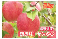 MS17-25A りんご サンふじ（長野県産訳あり品） 約5kg / 2026年1月上旬～2月上旬頃 配送予定 // 長野県 南信州 さんふじ サンフジ ふじりんご 訳あり 訳アリ 家庭用 自宅用 リンゴ 林檎 ふじ