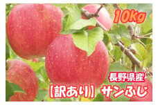 MS18-25A  りんご サンふじ（長野県産訳あり品） 約10kg / 2026年1月上旬～2月上旬頃 配送予定 // 長野県 南信州 さんふじ サンフジ ふじりんご 訳あり 訳アリ 家庭用 自宅用 リンゴ 林檎 ふじ