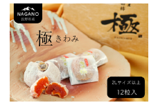 MS20-25A 市田柿「極」2Lサイズ以上【12個入】 / 2026年1月上旬～2月下旬頃 配送予定 // 長野県 南信州 干し柿 大粒 2Lサイズ 贈答 高糖度 ドライフルーツ ギフト