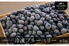 KB05-25A 冷凍ブルーベリー 約1kg【2Lサイズ以上】// 長野県 南信州 松川町 摘みたて 朝摘み 新鮮 安全 産地直送 農家直送 大粒 2Lサイズ以上 冷凍 ブルーベリー 果物 フルーツ