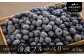 長野県松川町産！冷凍ブルーベリー