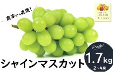 KG01-25A ぶどう シャインマスカット 約1.7kg（2～4房）贈答 / 2025年9月下旬頃～配送予定 // 長野県 南信州 松川町 葡萄 ブドウ 産地直送 農家直送 マスカット 種なし 皮ごと 果物 フルーツ 約2㎏ 2キロ