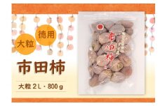 TS02-24A 南信州産 市田柿 2Lサイズ 800g（ご家庭用大袋）//長野県 南信州 干し柿 市田柿 高糖度 ドライフルーツ 家庭用 自宅用 大袋 大粒 2Lサイズ