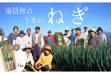 JA24-25B 土付きねぎ 約3kg / 2025年12月中旬〜2026年2月上旬頃配送予定 // 長野県 南信州産 野菜 信州野菜 新鮮 長ネギ ネギ 長ねぎ 白ねぎ 白ネギ