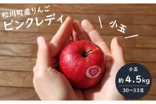 PL01-24A ピンクレディー® （小玉）希少なりんご 約4.5kg／2025年1月中旬から発送//長野県 南信州 松川町 りんご 希少品種 珍しい ライセンス リンゴ プレゼント 贈り物 ピンクレディー 恋人