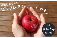 PL01-24A ピンクレディー® （小玉）希少なりんご 約4.5kg／2025年1月中旬から発送//長野県 南信州 松川町 りんご 希少品種 珍しい ライセンス リンゴ プレゼント 贈り物 ピンクレディー 恋人