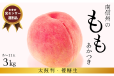 JA02-25A 桃 あかつき 約3kg／2025年7月下旬 配送予定 // 贈答 センサ ー選別 糖度センサー 桃 もも 果物 フルーツ ギフト あかつき 太鼓判 優糖生