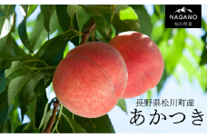 KM02-25A 桃 あかつき 4kg以上（12～16玉）贈答 / 2025年7月下旬〜8月上旬頃 発送予定 // 長野県 南信州 松川町 モモ 贈答 産地直送 農家直送 新鮮  もも 甘い 