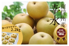JA28-25A 梨 幸水 約2.2kg／2025年8月中旬～9月上旬ごろ配送 //長野県 南信州 糖度センサー選別 厳選 新鮮 和梨 なし 贈答 ギフト 約2kg