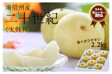 JA30-25A 梨 二十世紀 約2kg／2025年9月上旬～9月下旬ごろ配送予定 // 糖度センサー選別 厳選 南信州 長野県 和梨 なし ナシ 新鮮 厳選 贈答 2㎏