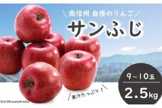 JA34-25A りんご サンふじ（小玉） 約2.5kg / 2025年11月下旬～12月上旬ごろ配送予定 // 長野県 南信州 贈答 ギフト お歳暮 ふじ フジ さんふじ 新鮮 林檎 リンゴ サンフジ