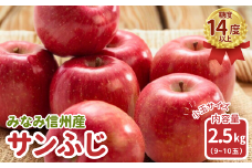 JA34-25A りんご サンふじ（小玉） 約2.5kg / 2025年11月下旬～12月上旬ごろ配送予定 // 長野県 南信州 贈答 ギフト お歳暮 ふじ フジ さんふじ 新鮮 林檎 リンゴ サンフジ