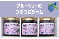 KB03-25D 完熟ブルーベリーのつぶつぶジャム 200g×3個