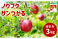 ノウフク サンつがる 約3㎏ 贈答用