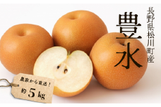 KW01-25A 梨 豊水 約5kg（9～14玉）松川町産 贈答 / 9月中旬頃〜配送予定 // 長野県 南信州 松川町産 和梨 なし ナシ 産地直送 農家直送 農家支援 果物 フルーツ 甘い