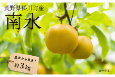 KW07-25A 梨 南水 約3kg（6～9玉） 松川町産 贈答／9月下旬頃から順次発送予定 // 南信州産 長野県 和梨 なし ナシ 約3㎏ 南水 農家直送 農家支援