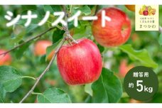 KR02-25A りんご シナノスイート 贈答【中玉】 約5kg（14～16玉） / 10月中旬頃～配送予定 // 長野県 南信州 松川町産 ギフト りんご リンゴ 林檎 シナノスイート  農家直送 農家支援 産地直送