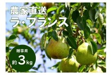 KL01-25A 洋梨 ラ・フランス 約3kg（7〜10玉） 贈答 / 2025年10月中旬頃から発送予定 // 長野県 南信州 松川町産 ギフト 洋ナシ 洋なし ラフランス 農家直送 農家支援 贈答 果物 西洋梨 フルーツ