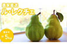 KL04-25A 洋梨 ル・レクチェ 大玉 約5kg（10～14玉） 贈答 / 2025年11月中旬頃〜配送予定 // 長野県 南信州 松川町産 洋梨 ルレクチェ レクチェ 西洋梨 大玉 とろける 高糖度 贈答