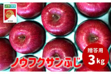 WF07-25A ノウフクサンふじ 贈答 約3kg / 2025年11月下旬～12月下旬ごろ配送予定 // 長野県 南信州 松川町産 JAS認証 りんご リンゴ 林檎 ノウフク 農福連携 サンふじ ふじ 贈答