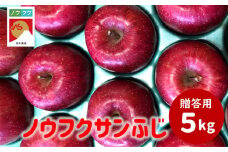 WF08-25A ノウフクサンふじ 贈答 約5kg / 2025年11月下旬～12月下旬ごろ配送予定 // 長野県 南信州 松川町産 JAS認証 りんご リンゴ 林檎 ノウフク 農福連携 サンふじ ふじ 贈答