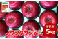 ノウフク サンふじ 贈答用 約5㎏