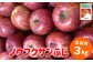 ノウフク サンふじ 家庭用 約3㎏　