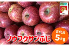 WF10-25A ノウフクサンふじ 家庭用 約5kg / 2025年11月下旬～12月下旬ごろ配送予定 // 長野県 南信州 松川町産 JAS認証 りんご リンゴ 林檎 ノウフク 農福連携 サンふじ ふじ 家庭用 自家用