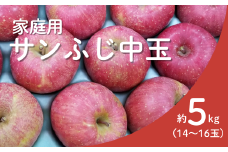 KR17-25A りんご サンふじ 家庭用【中玉】 約5kg（14～16玉） / 11月下旬頃～配送予定 // 長野県 南信州 リンゴ 林檎 ふじ さんふじ 訳あり 自家用 農家直送 農家支援 産地直送