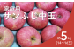 りんご農家直送！松川町産 家庭用 サンふじ（中玉）