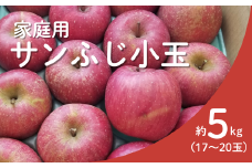 KR18-25A りんご サンふじ 家庭用【小玉】 約5kg（17～20玉） / 11月下旬頃～配送予定 // 長野県 南信州 リンゴ 林檎 ふじ さんふじ 小玉サイズ 訳あり 自家用 農家直送 農家支援 産地直送