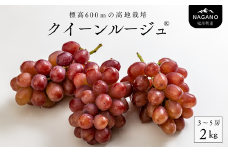 TK08-25A ぶどう クイーンルージュ®  約2kg／2025年9月下旬頃～配送予定 // 稀少 新品種 長野県 南信州 高糖度 葡萄 クインルージュ 甘い 種なし 皮ごと