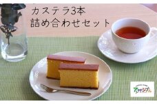 EN04-25D カステラの詰め合せ３本 // 長野県 カステラ スイーツ ケーキ プレゼント 贈答 ギフト はちみつ 百花蜂蜜 ケーキセット