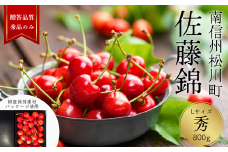 YN02-25A さくらんぼ 佐藤錦 秀 L玉クラス 約800g 【ハウス栽培】／2025年6月中旬～下旬頃 配送予定 // 長野県 南信州 さくらんぼ サクランボ チェリー さとう 錦 ハウス 栽培