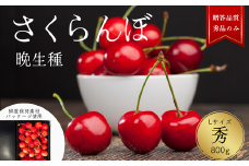 YN04-25A さくらんぼ 晩生種 秀 L玉クラス 約800g 【ハウス栽培】／2025年6月下旬～7月中旬頃 配送予定 // 長野県 南信州 さくらんぼ サクランボ チェリー 紅秀峰 山形美人 ナポレオン 紅てまり ハウス 栽培 約1㎏