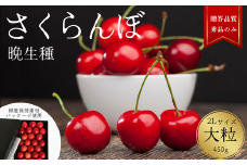 YN03-25A さくらんぼ 晩生種 大粒 秀 2L玉クラス 約450g 【ハウス栽培】／2025年6月下旬～7月中旬頃 配送予定 // 長野県 南信州 さくらんぼ サクランボ チェリー 紅秀峰 山形美人 ナポレオン 紅てまり ハウス 栽培 大玉