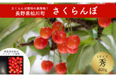 YN05-25A さくらんぼ 早生種 秀 L玉クラス 約800g 【ハウス栽培】／2025年6月上旬～中旬頃配送予定 // 長野県 南信州 さくらんぼ サクランボ チェリー 早生種 秀雅錦 紅さやか 高砂 香夏錦 正光錦 ハウス 栽培 約1㎏
