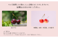 「紅さやか」のみ濃い赤色の果皮をしています。予めご承知おきください。